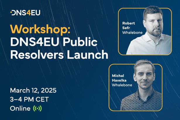 dns4eu-workshop_691x461