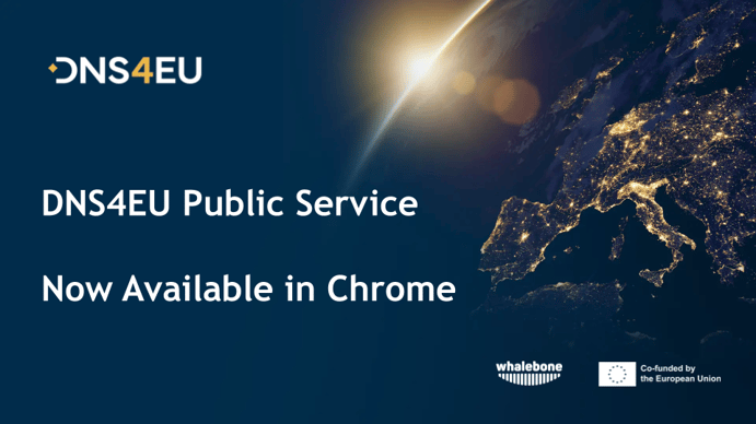 public service- chrome